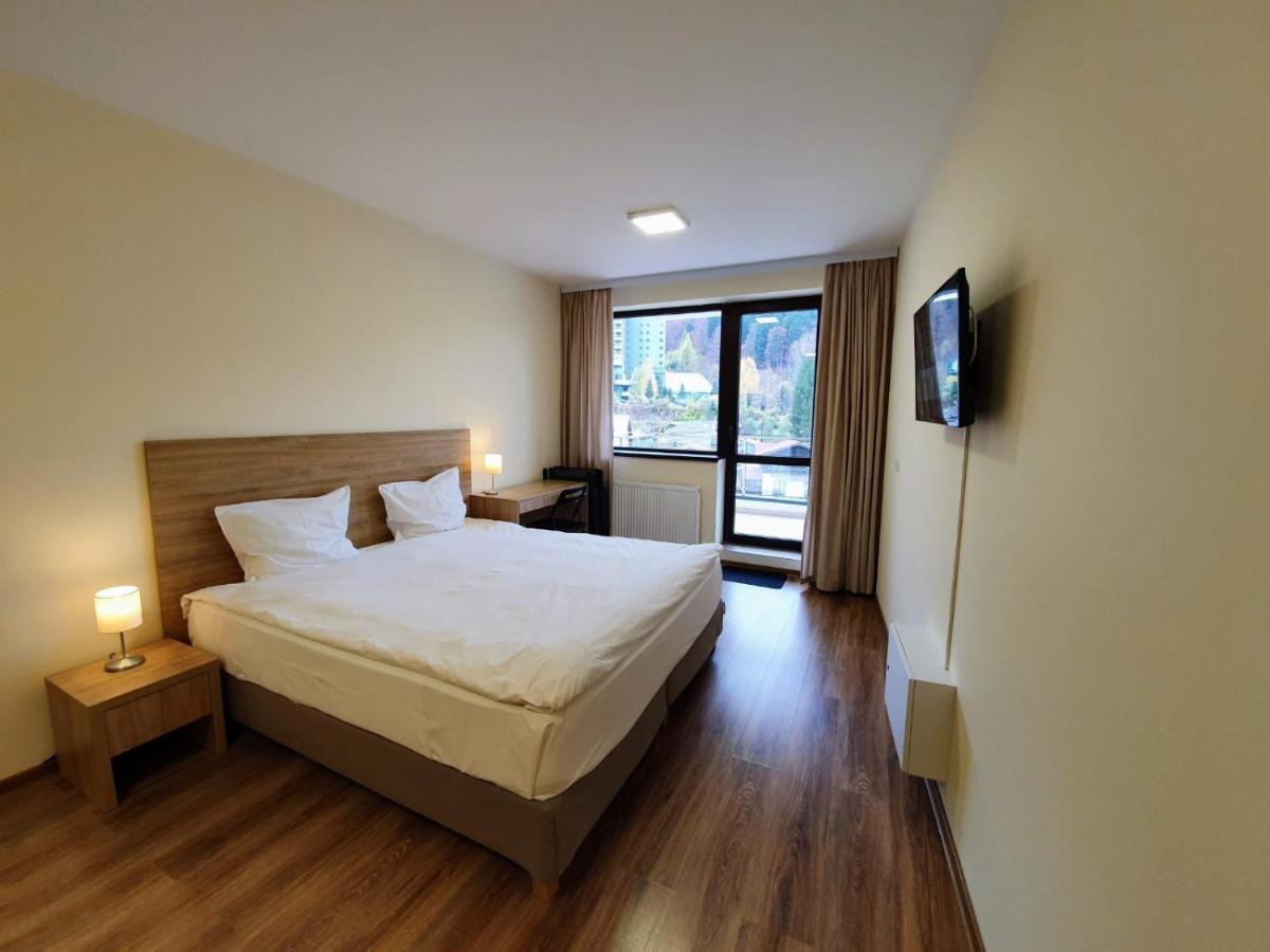 Studio Mountain View Sinaia Exterior foto
