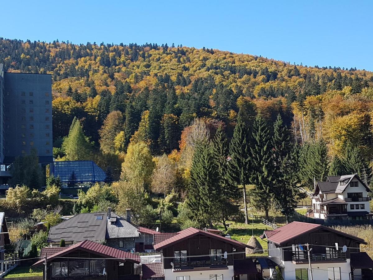Studio Mountain View Sinaia Exterior foto
